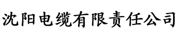 91香蕉小视频电缆厂logo